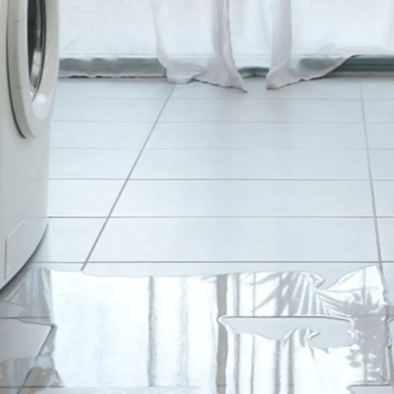 Appliance Leak Cleanup in Wood River, IL