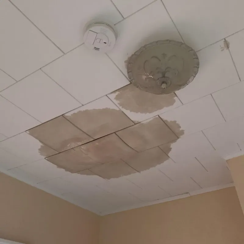 Ceiling Water Damage Repair in Wood River, IL