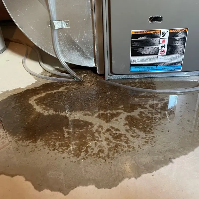 Pipe Burst and Leak Restoration in Wood River, IL