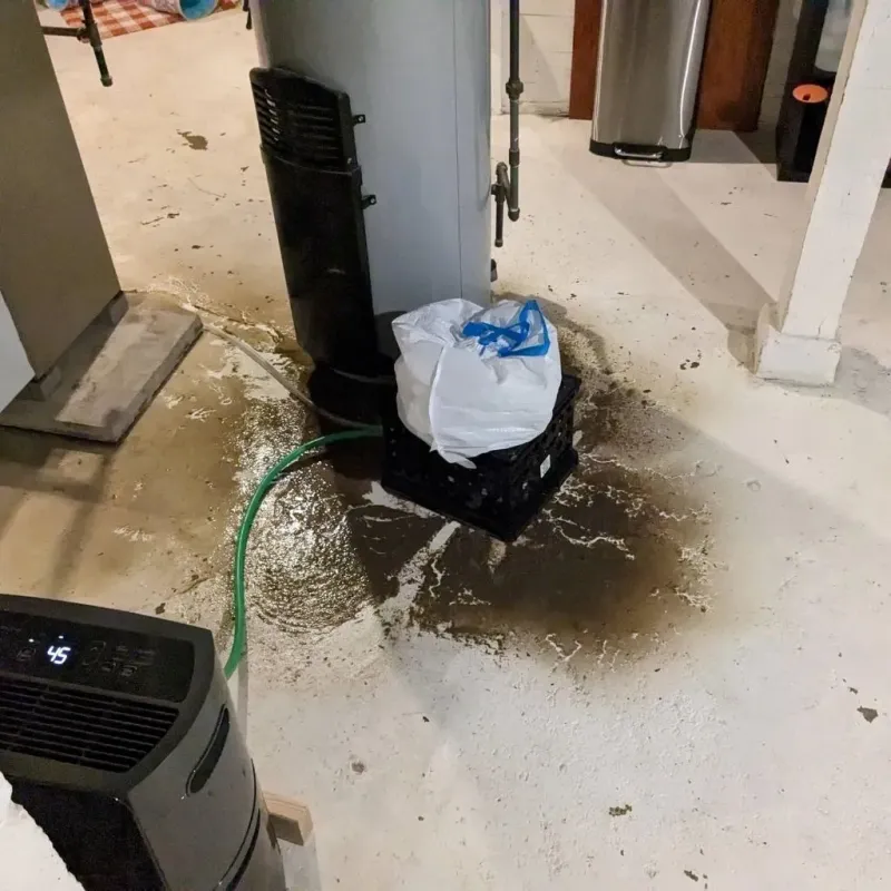 Sewage Backup Cleanup Service in Wood River, IL